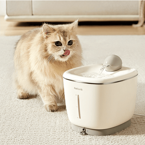 Pet Water Fountain